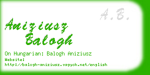 aniziusz balogh business card